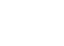 TEDDY TERRILLI